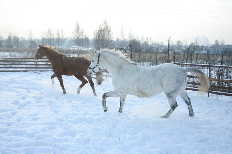 IMG_1598.jpg1.jpg"%20height="533"%20width="800